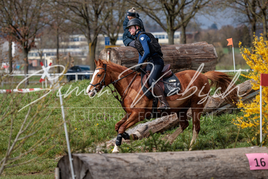 20260329-_3LI4763 | Tierfotografie Pferde, Hunde, Katzen, Haustiere.
Turnierfotografie Reitturniere, Reiten, Springreiten, Dressur in Hanau, dem Main-Kinzig-Kreis und dem Rhein-Main- Gebiet um Frankfurt