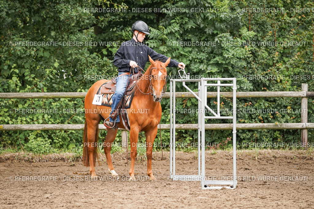 DSC03477 | Pferdegrafie