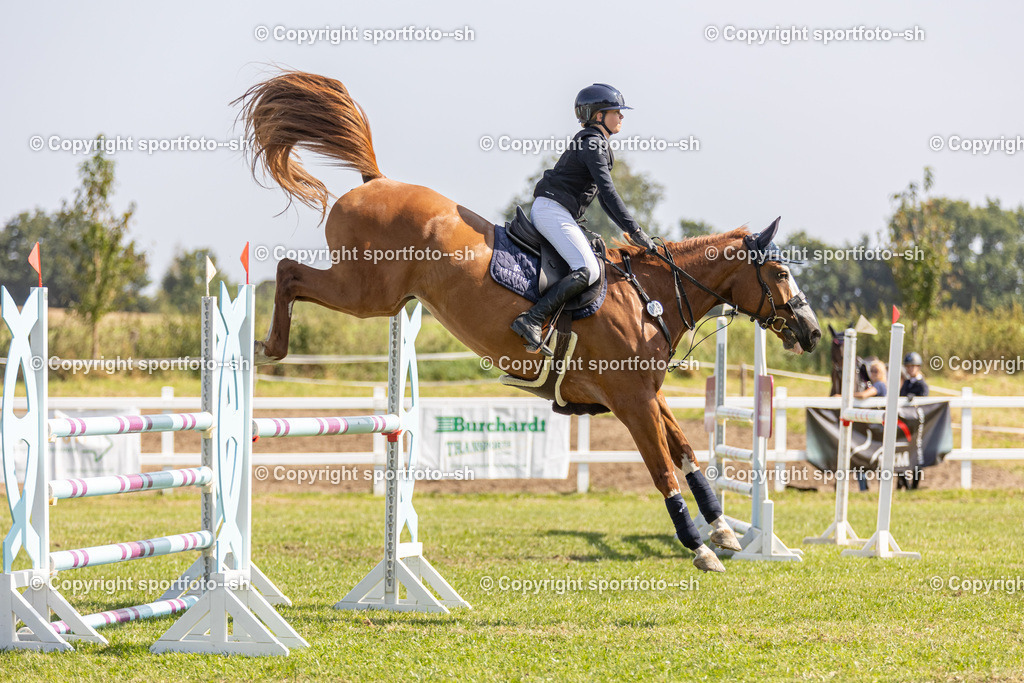 240831-VW-IS6A4326 | Sportfoto SH - Realisiert mit Pictrs.com