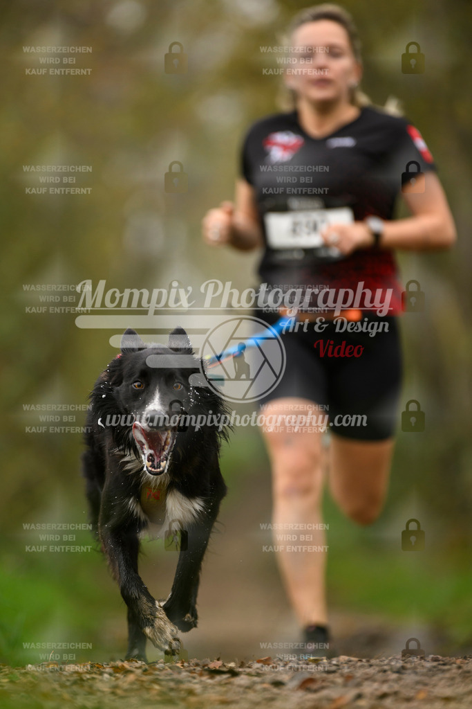 MompixPhotography_20TSB_E6_Run-87 | PayLife