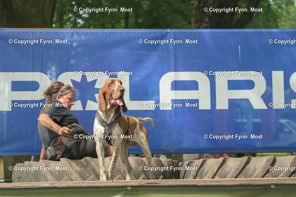 DSC_0652 | Hallo und herzlich Willkommen auf meiner Shop-Seite Fynn Most.

Ich wünsche Dir viel Spaß beim stöbern durch die Bilder, wenn Du Fragen hast oder Bilder vermisst, kannst du mir gerne eine Nachricht schreiben. - Realisiert mit Pictrs.com