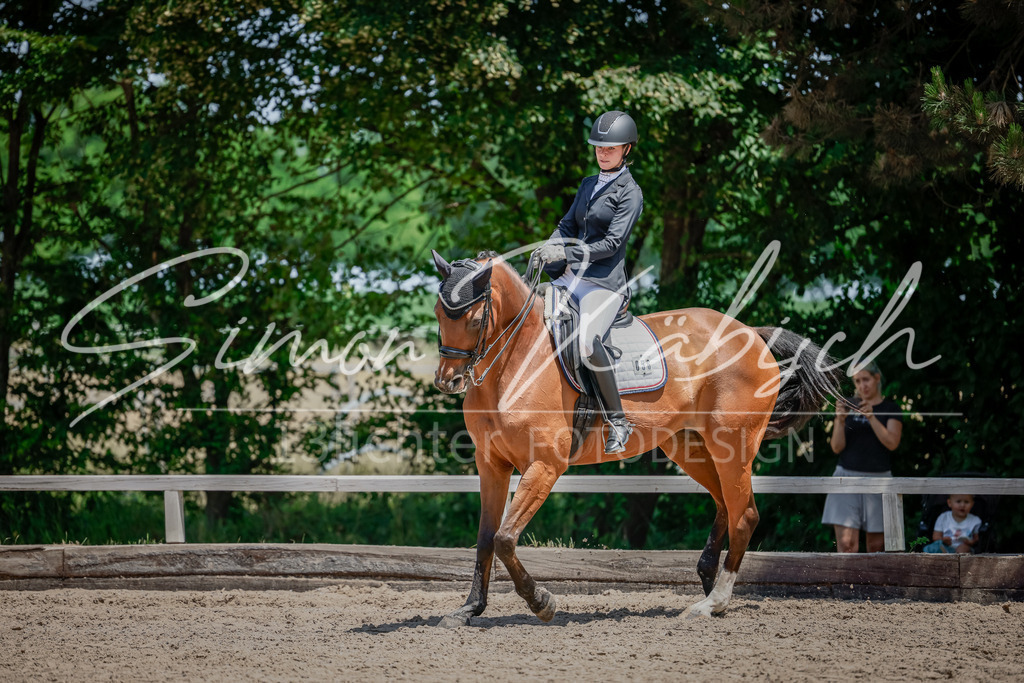 20250621-_3LI7541 | Tierfotografie Pferde, Hunde, Katzen, Haustiere.
Turnierfotografie Reitturniere, Reiten, Springreiten, Dressur in Hanau, dem Main-Kinzig-Kreis und dem Rhein-Main- Gebiet um Frankfurt