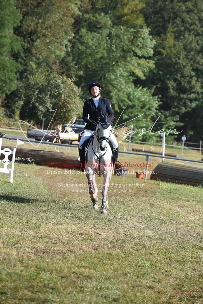 DSC_5324 | Pferde- und Turnierfotografie in Westsachsen. Pferdeportraits, Auftragszeichnungen und intuitive Kunst.