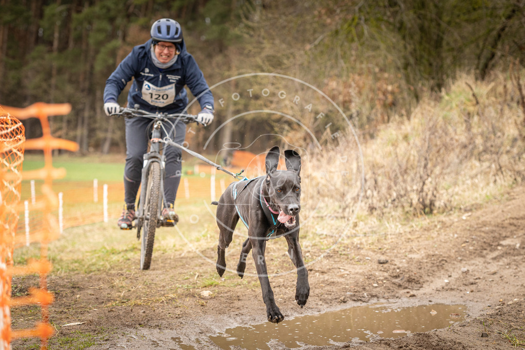 DV3A1067 | Hundefotografie, Tierfotograf, Pfotenfotografie, Fotoshooting Hund, Hunde Portrait, Hundesport, Hundeportraits, Heideshooting, Hunde, Sportfotograf, Hundefotograf, Turnierhundsport, THS,  - Realisiert mit Pictrs.com