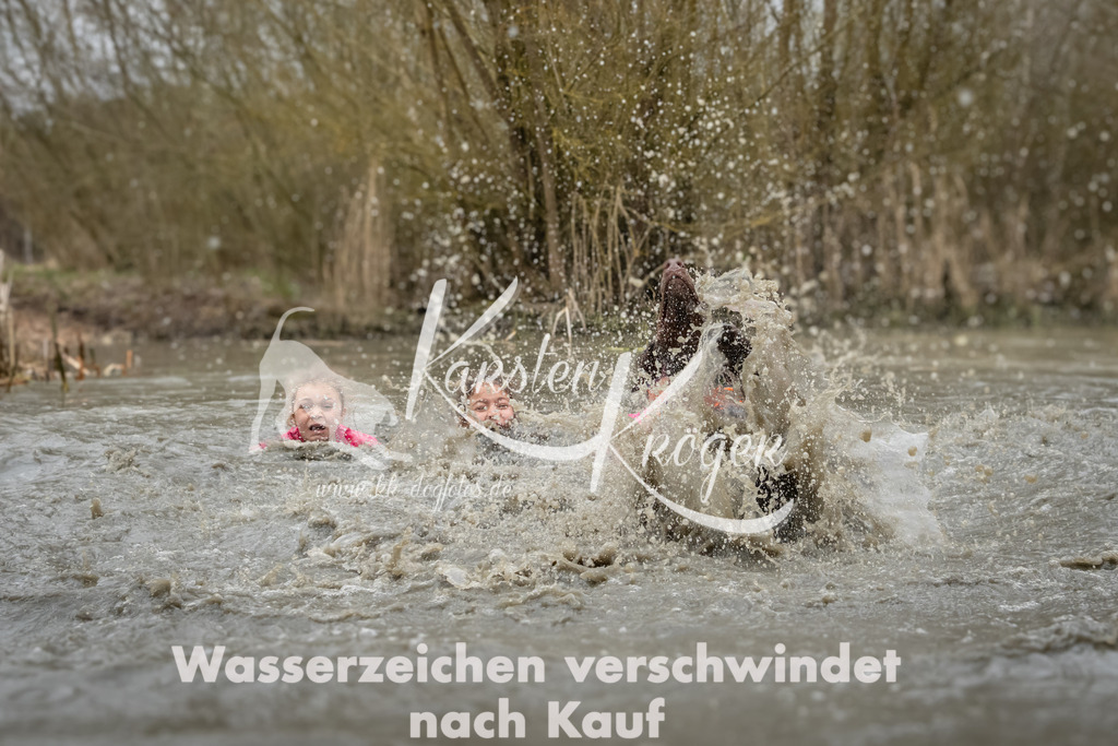 1252_ZZ92332 | kk-dogfotos