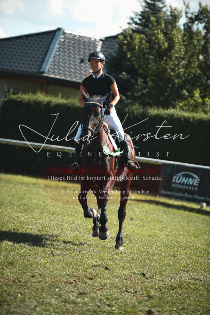 DSC_7351 | Pferde- und Turnierfotografie in Westsachsen. Pferdeportraits, Auftragszeichnungen und intuitive Kunst.