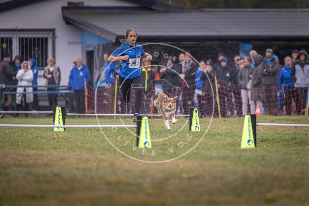 Pfotenfotografie_DV3A9701 | Hundefotografie, Tierfotograf, Pfotenfotografie, Fotoshooting Hund, Hunde Portrait, Hundesport, Hundeportraits, Heideshooting, Hunde, Sportfotograf, Hundefotograf, Turnierhundsport, THS,  - Realisiert mit Pictrs.com