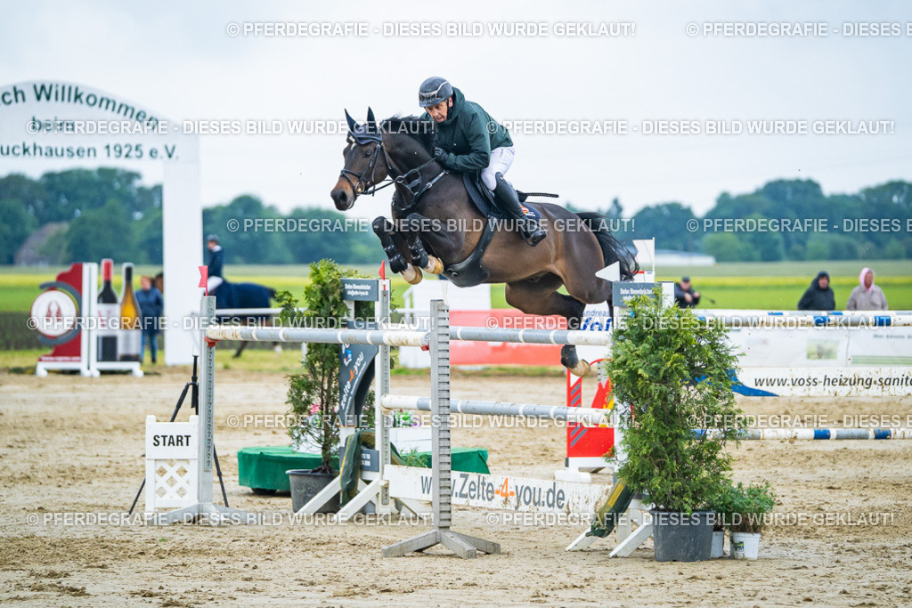 DSC00697 | Pferdegrafie