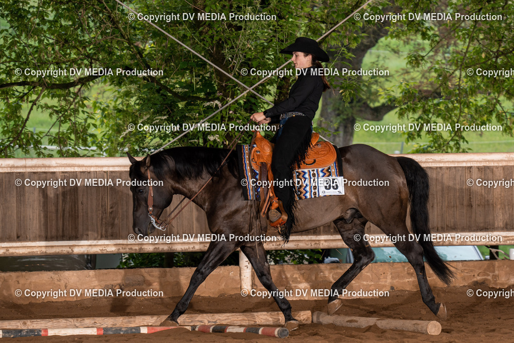 Erbach Tag 3-150 | dv-media-shop - Realisiert mit Pictrs.com