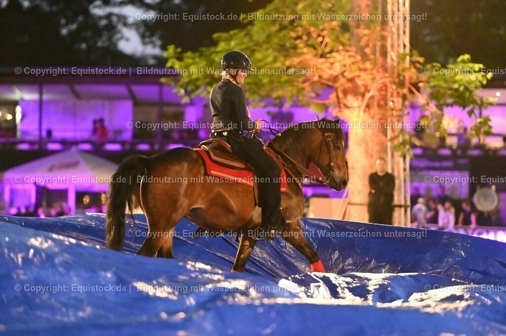 20230526_Pferdenacht_1027 | equistock