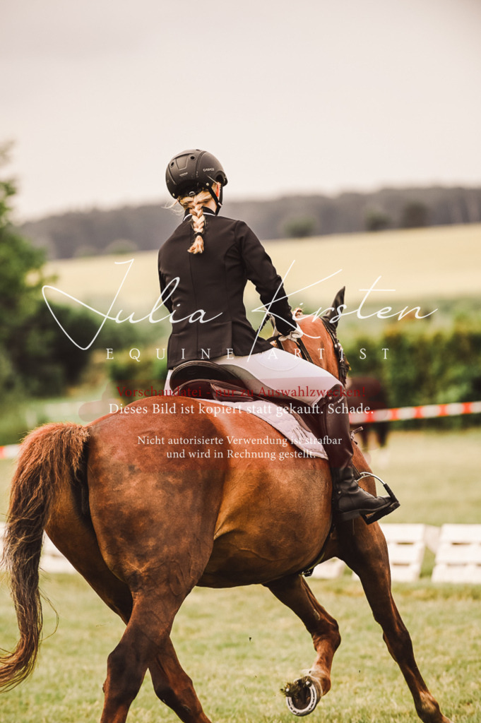 DSC_4823 | Pferde- und Turnierfotografie in Westsachsen. Pferdeportraits, Auftragszeichnungen und intuitive Kunst.