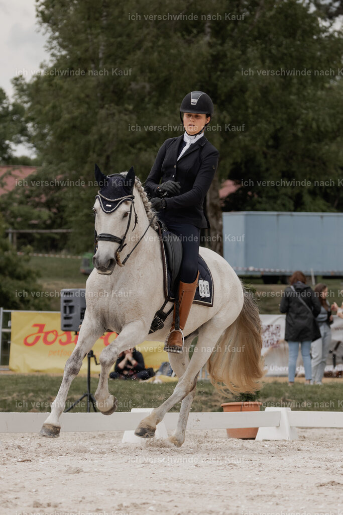 WE_DR_Stoib_336_PI2025_760 | Pferd International München 2025