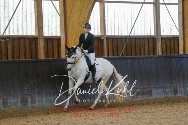 IMG_0521 | Turniersportfotografie; Pferdefotografie; Dressurfotografie