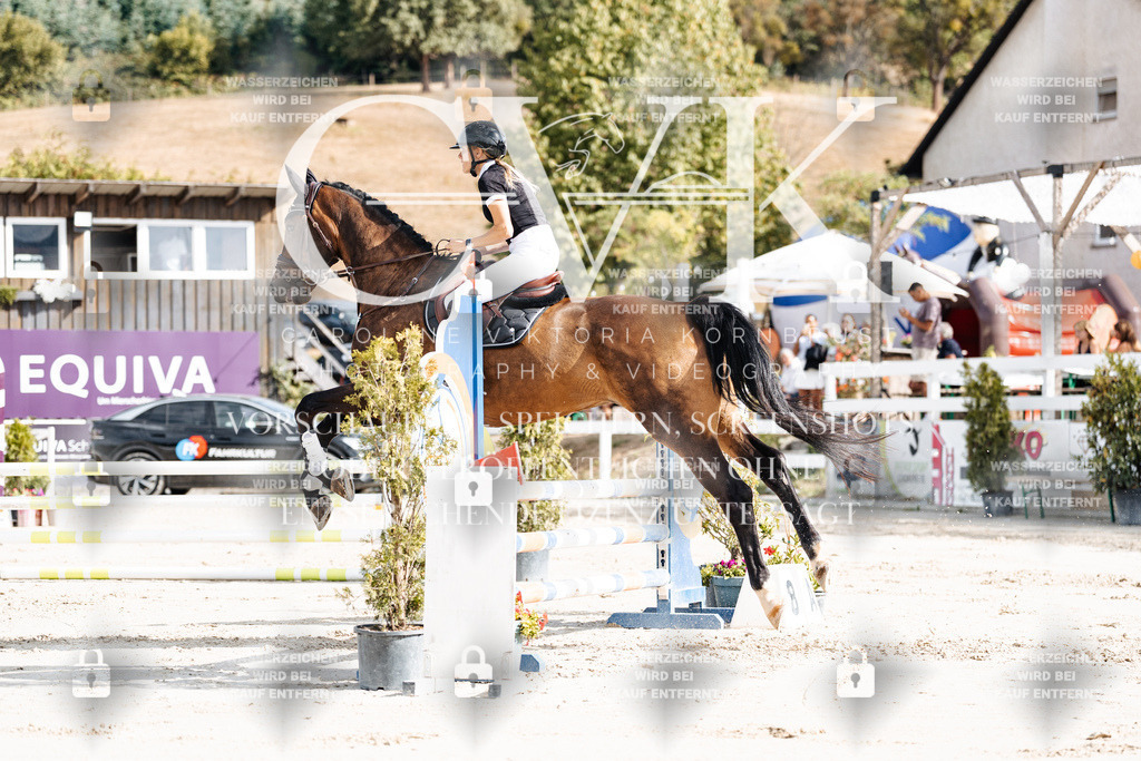 CK909087 | Turnierfotografie Pferdefotografie Trier Rheinland-Pfalz Pferdesport Reitsport Tierfotografie Sportfotografie Pferdevideo Pferdevideografie Equestrianvideography equestrianphotography  - Realisiert mit Pictrs.com