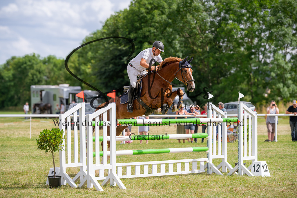 A7V02389 | Pferdefotograf