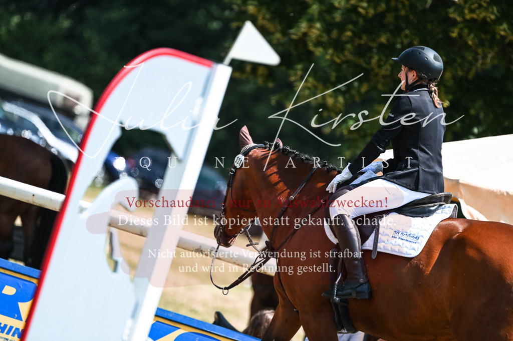 DSC_9905 | Pferde- und Turnierfotografie in Westsachsen. Pferdeportraits, Auftragszeichnungen und intuitive Kunst.