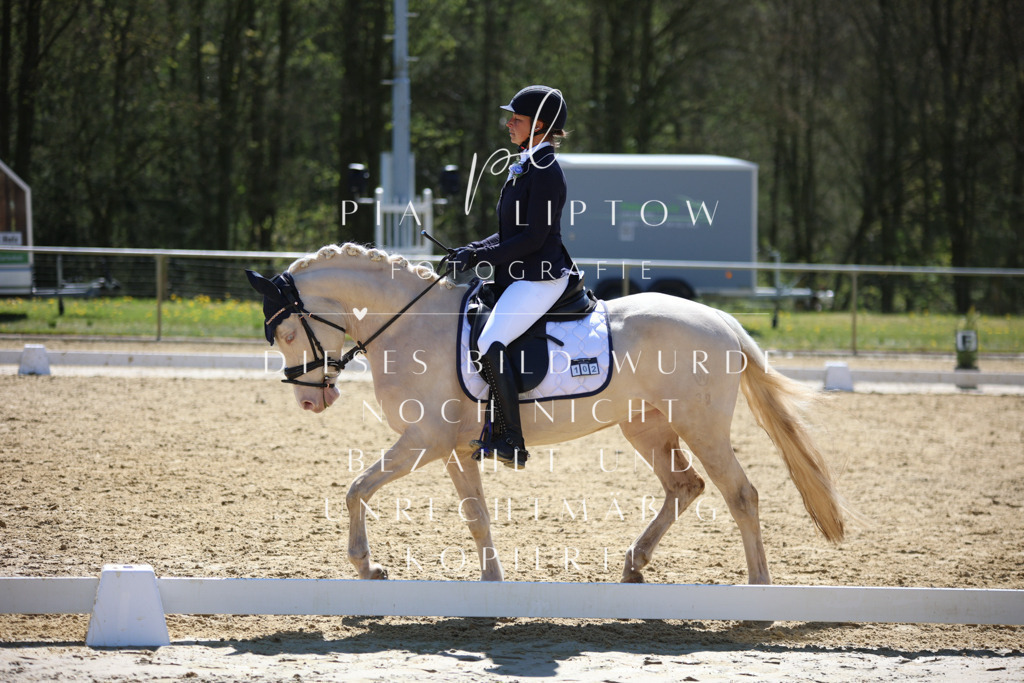 IMGT1261 | pl-fotografie