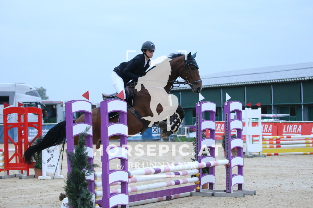 DL2Q3659 | Willkommen bei Brunnmayr - Design & Fotografie – Ihrem Spezialisten für Reitturniere und Pferdeveranstaltungen in Oberösterreich, Salzburg und Bayern! Seit über 17 Jahren sind wir leidenschaftlich dabei.