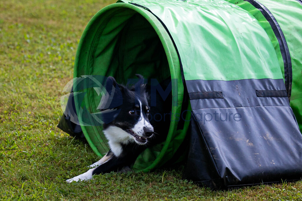 TP-20240815-0097 | Copyright: Trainproduction / Matthias Trinkl