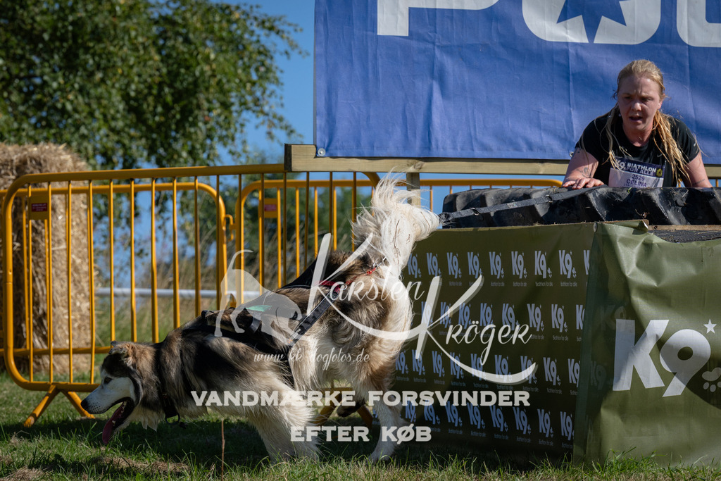 1011_ZZ97873 | kk-dogfotos