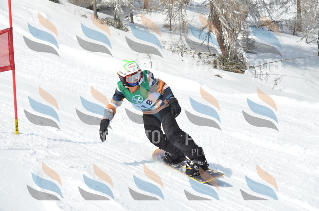 D9249 | holidayphoto