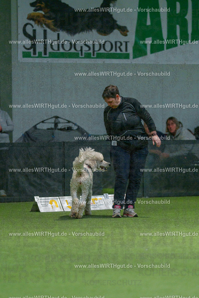 7R505533 | Professionelle Tierfotografie in Mönchengladbach von Daniel Wirth (allesWIRTHgut). Liebevolle & natürliche Bilder von Hunden & Katzen für unvergessliche Erinnerungen.