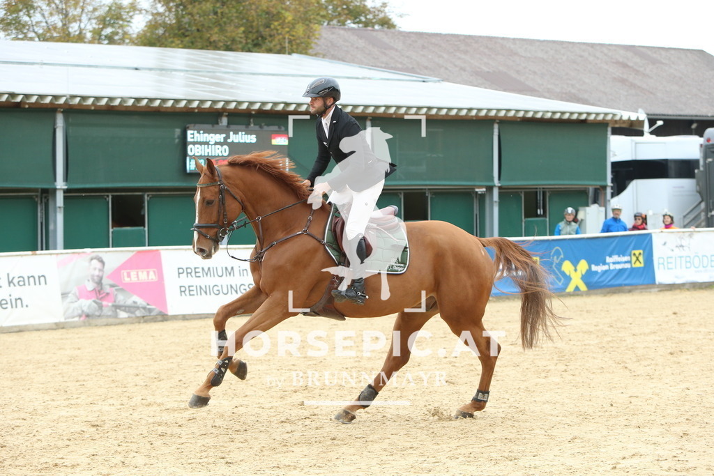 DL2Q6795 | Willkommen bei Brunnmayr - Design & Fotografie – Ihrem Spezialisten für Reitturniere und Pferdeveranstaltungen in Oberösterreich, Salzburg und Bayern! Seit über 17 Jahren sind wir leidenschaftlich dabei.