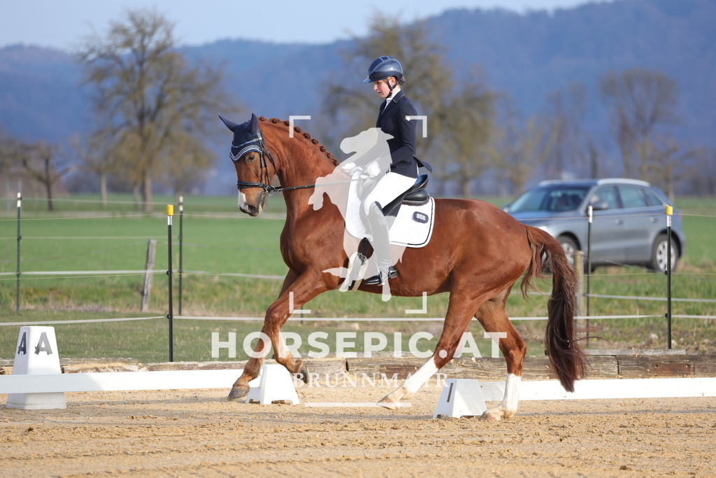 0P6A5933 | Willkommen bei Brunnmayr - Design & Fotografie – Ihrem Spezialisten für Reitturniere und Pferdeveranstaltungen in Oberösterreich, Salzburg und Bayern! Seit über 17 Jahren sind wir leidenschaftlich dabei.