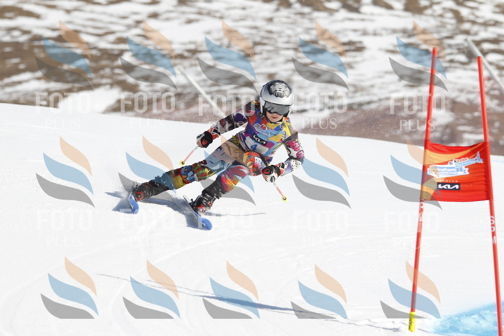 _U3G8545 | holidayphoto