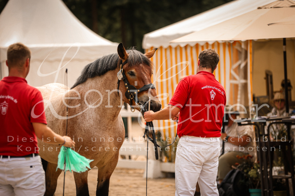 3.Sa00103 | Leoni Ertmer Photography - Realisiert mit Pictrs.com