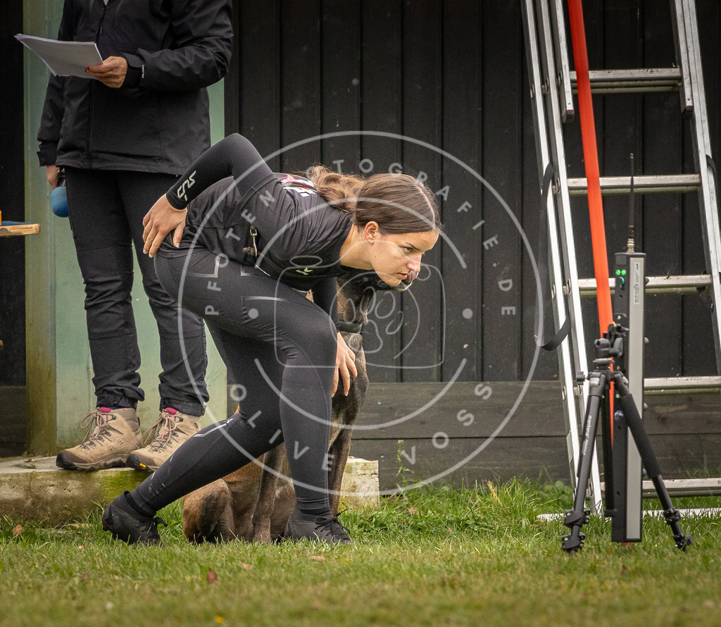 Pfotenfotografie_DV3A6040 | Hundefotografie, Tierfotograf, Pfotenfotografie, Fotoshooting Hund, Hunde Portrait, Hundesport, Hundeportraits, Heideshooting, Hunde, Sportfotograf, Hundefotograf, Turnierhundsport, THS,  - Realisiert mit Pictrs.com