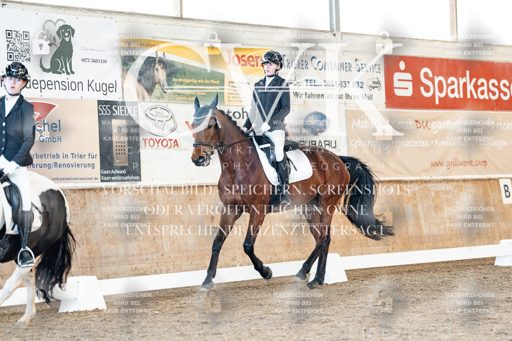 CK907689 | Turnierfotografie Pferdefotografie Trier Rheinland-Pfalz Pferdesport Reitsport Tierfotografie Sportfotografie Pferdevideo Pferdevideografie Equestrianvideography equestrianphotography  - Realisiert mit Pictrs.com