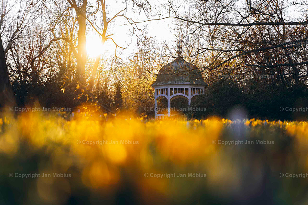 Johanna-Park | Der Johanna-Park in Leipzig verbindet Ruhe, Natur und Citynähe – ideal für Spaziergänge, Entspannung und Ausblicke auf die Stadtkulisse. - Realisiert mit Pictrs.com