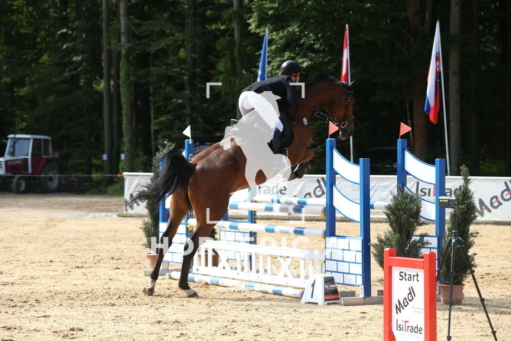 DL2Q0941 | Willkommen bei Brunnmayr - Design & Fotografie – Ihrem Spezialisten für Reitturniere und Pferdeveranstaltungen in Oberösterreich, Salzburg und Bayern! Seit über 17 Jahren sind wir leidenschaftlich dabei.