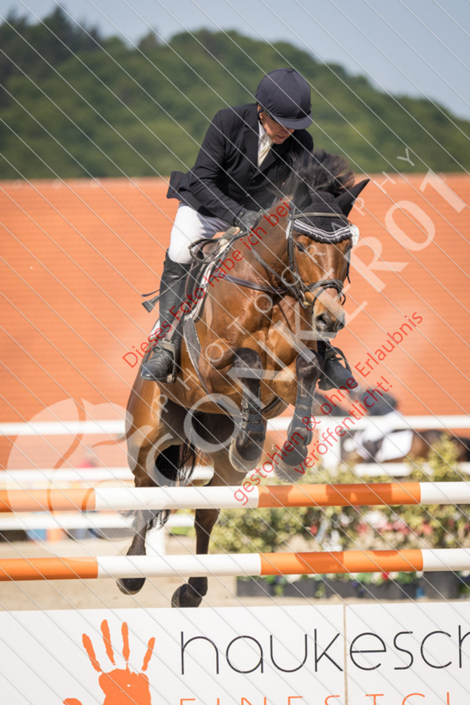 IMG_4351 | Sport-, Event- und Tierfotos in Profiqualität. Einfach auswählen, bestellen und herunterladen. Dein Moment – perfekt festgehalten.