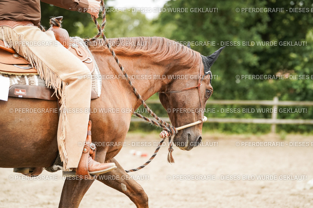 DSC08849 | Pferdegrafie