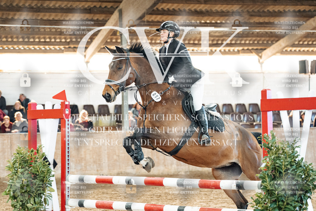 CK904787 | Turnierfotografie Pferdefotografie Trier Rheinland-Pfalz Pferdesport Reitsport Tierfotografie Sportfotografie Pferdevideo Pferdevideografie Equestrianvideography equestrianphotography  - Realisiert mit Pictrs.com