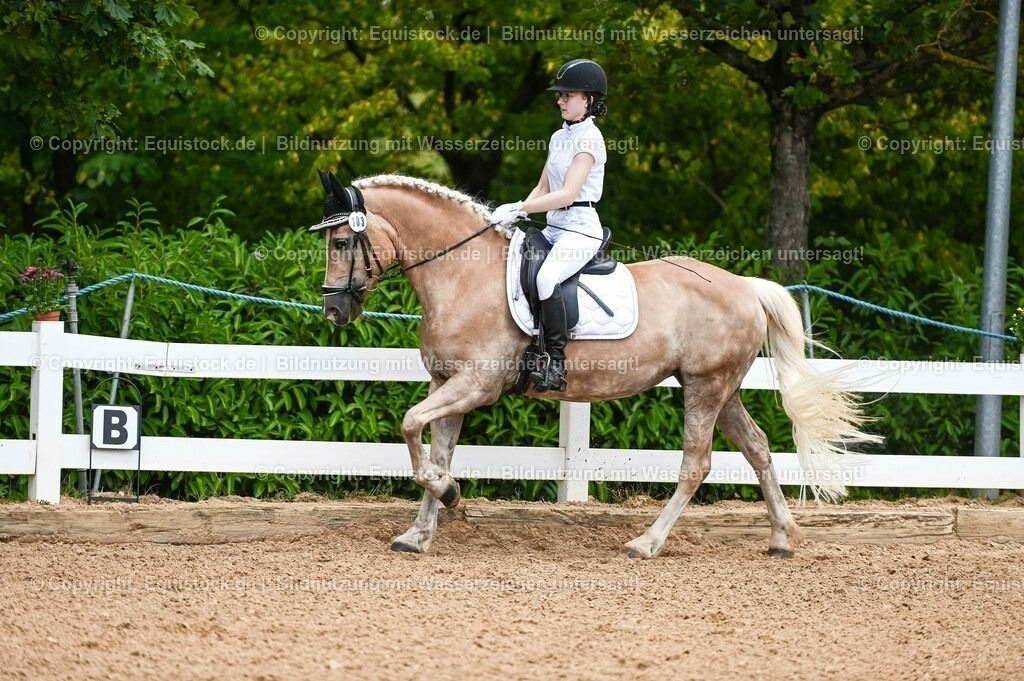 20230715_05_Dressurprüfung Kl.A++_0099 | equistock