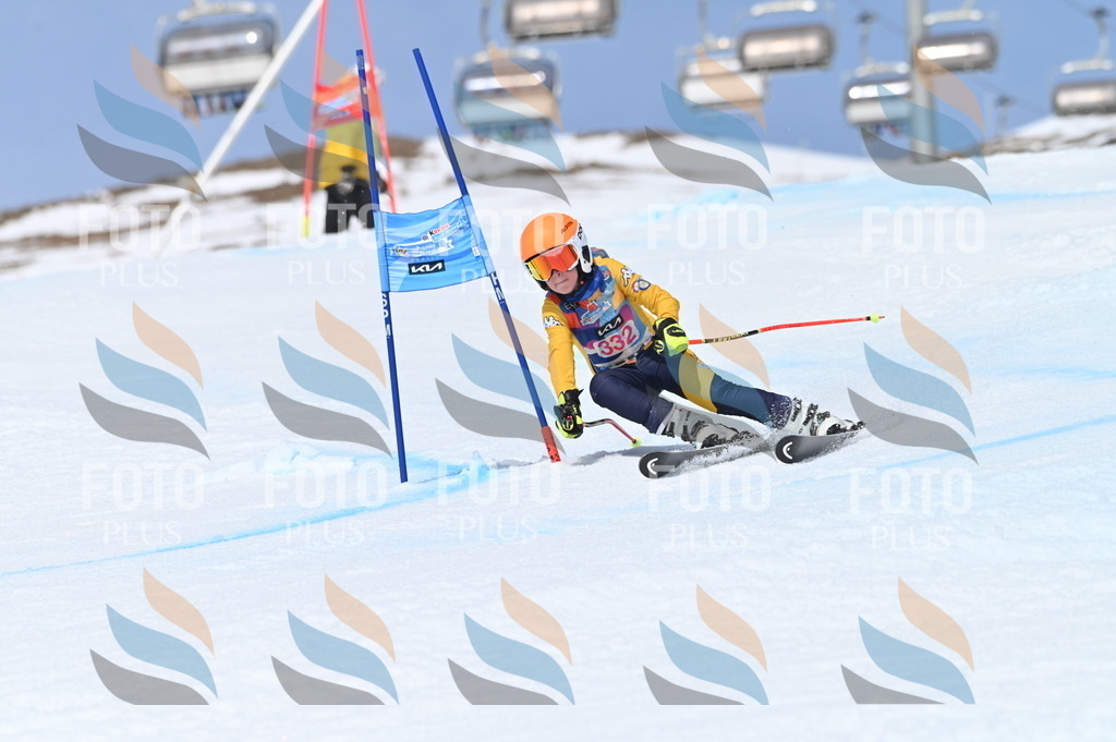 BGV_3321 | holidayphoto