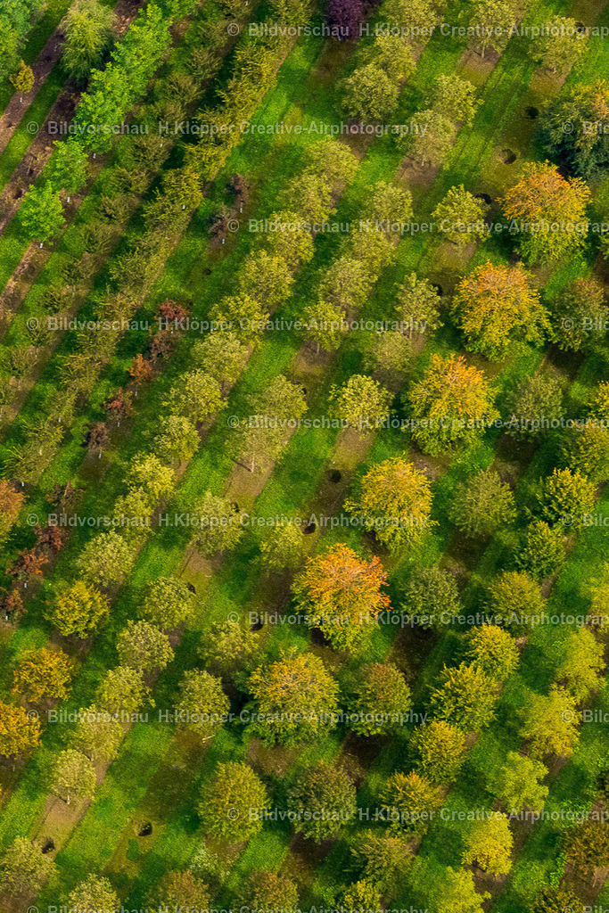 Luftbild Nettetal Breyell 439A4506 | Luftbilder und Luftbildfotografie , Digital und Printbilder auf Leinwand , Alu Dibond , Acrylglas , Poster oder Download-Datei für private und gewerbliche Verwendung im Shop online bestellen. - Realisiert mit Pictrs.com