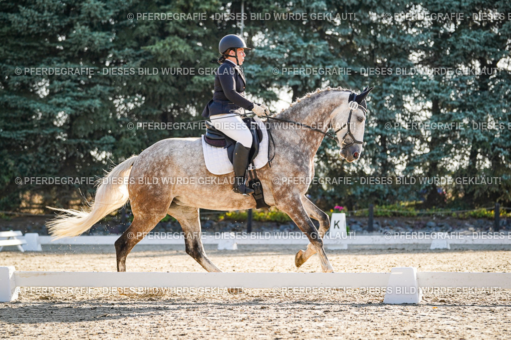 DSC08552 | Pferdegrafie