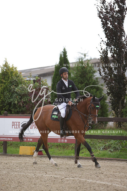 1J2A9505Simao Maio Reis_ Crystal Palace b_ Kn338_ Havekost | Foto- und Videografie für alles rund ums Pferd. Hochwertige Bilder und Videos vom Spring- und Dressurreiten, Voltigieren & mehr. Jetzt aktuelle Veranstaltungen und Preise im Shop ansehen. - Realisiert mit Pictrs.com