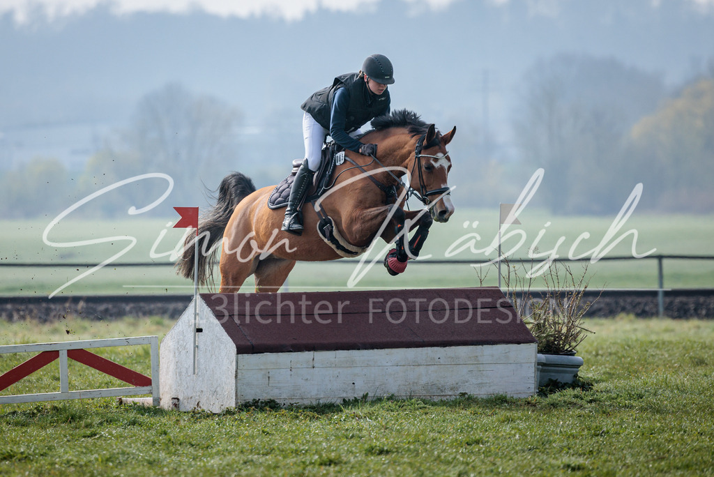 20260329-_3LI3567 | Tierfotografie Pferde, Hunde, Katzen, Haustiere.
Turnierfotografie Reitturniere, Reiten, Springreiten, Dressur in Hanau, dem Main-Kinzig-Kreis und dem Rhein-Main- Gebiet um Frankfurt