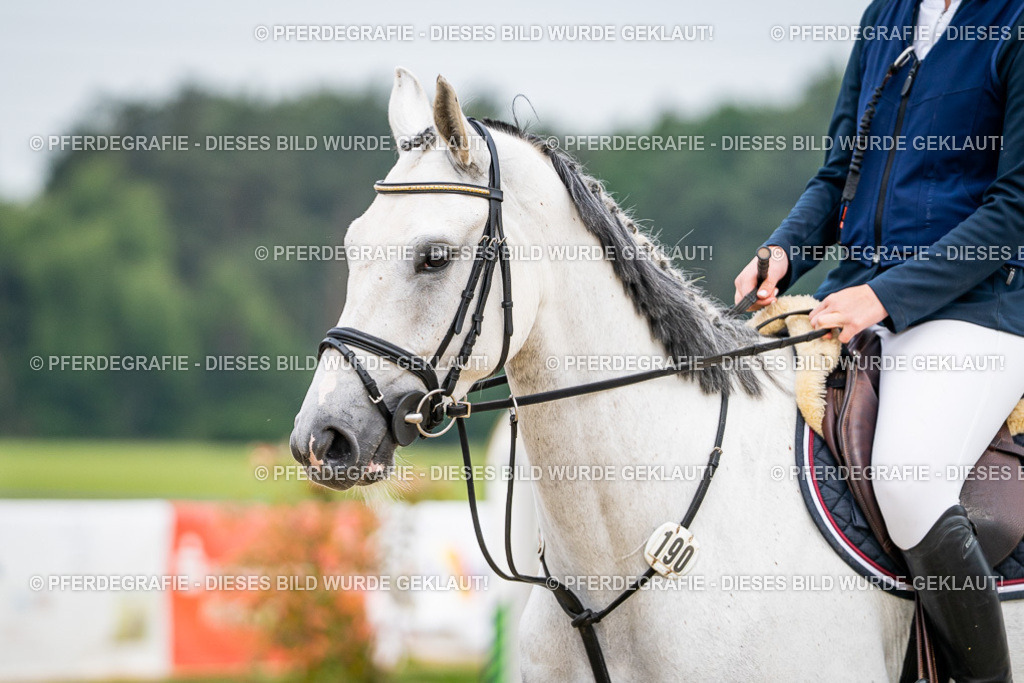 DSC09191 | Pferdegrafie