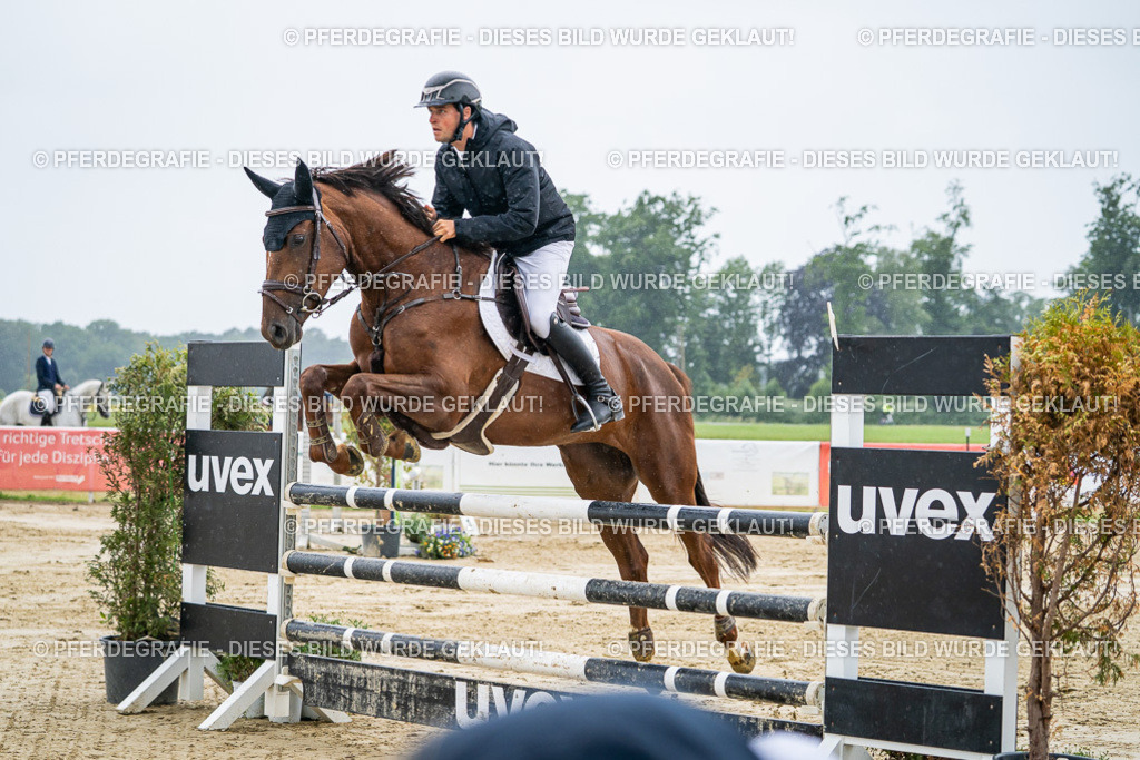 DSC01513 | Pferdegrafie