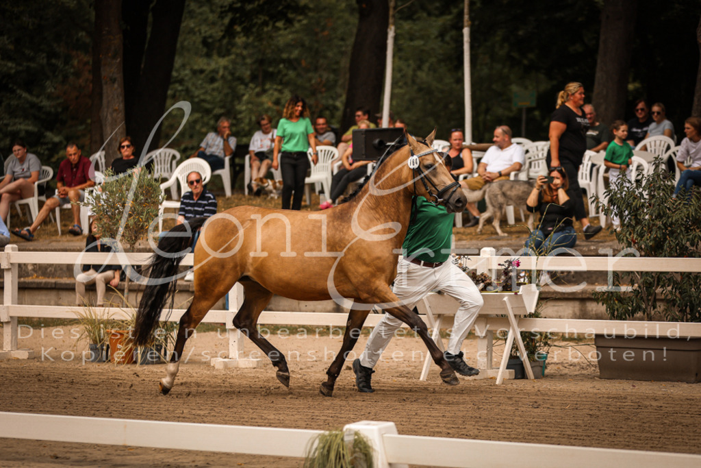 10.So00017 | Leoni Ertmer Photography - Realisiert mit Pictrs.com