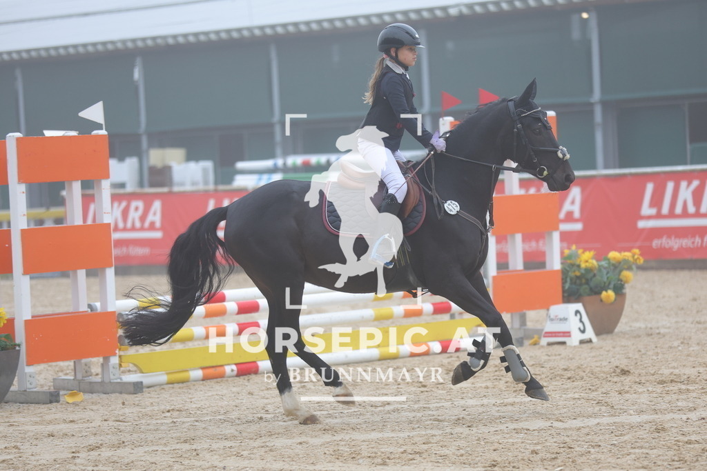 0P6A9781 | Willkommen bei Brunnmayr - Design & Fotografie – Ihrem Spezialisten für Reitturniere und Pferdeveranstaltungen in Oberösterreich, Salzburg und Bayern! Seit über 17 Jahren sind wir leidenschaftlich dabei.
