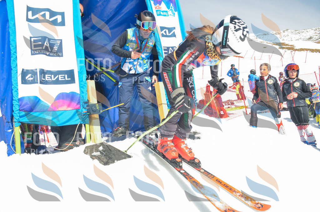 _ELE6271 | holidayphoto