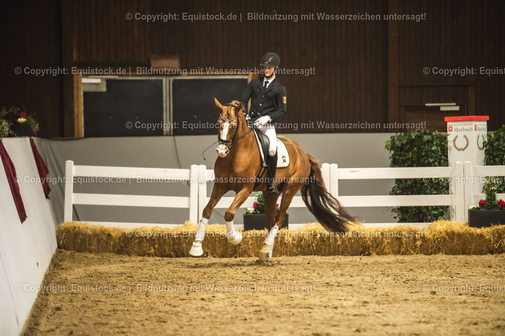 20240302_Hengstvorstellung_Marbach_TOMsPiC_0563 | equistock