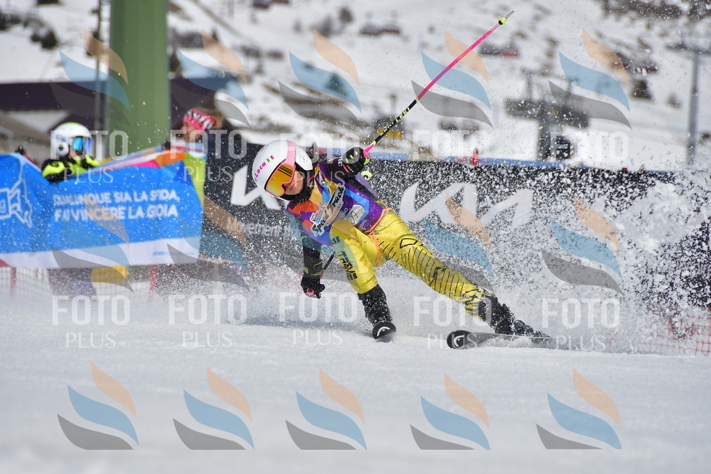 _DSC7672 | holidayphoto